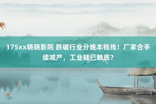 175xx晓晓影院 跌破行业分娩本钱线！厂家合手续减产，工业硅已触底？