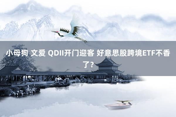 小母狗 文爱 QDII开门迎客 好意思股跨境ETF不香了？