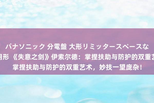 パナソニック 分電盤 大形リミッタースペースなし 露出・半埋込両用形 《失意之剑》伊索尔德：掌捏扶助与防护的双重艺术，妙技一望庞杂！