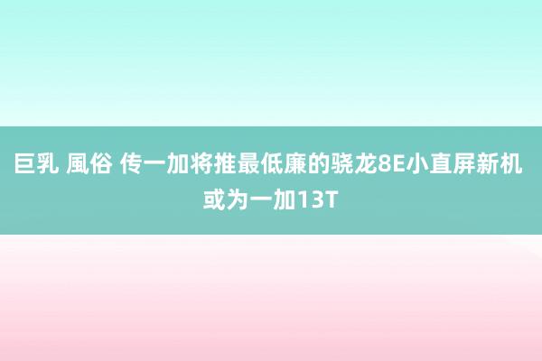 巨乳 風俗 传一加将推最低廉的骁龙8E小直屏新机 或为一加13T